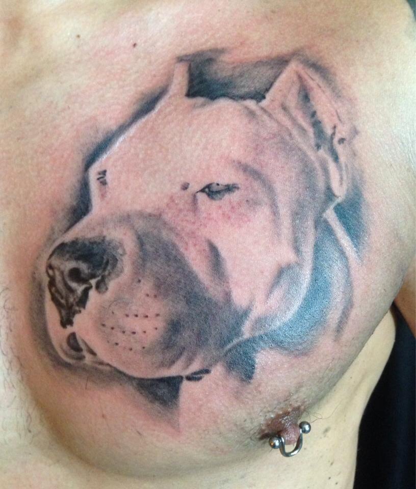 Dogo tattoo hot sale