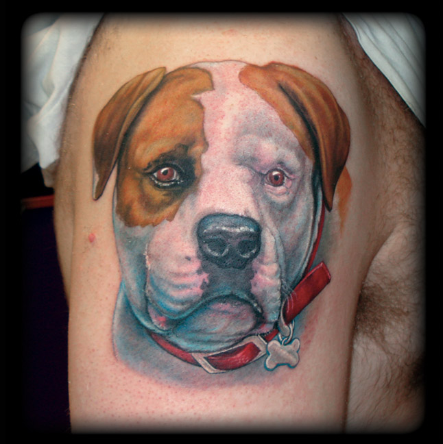 american bulldog tattoo