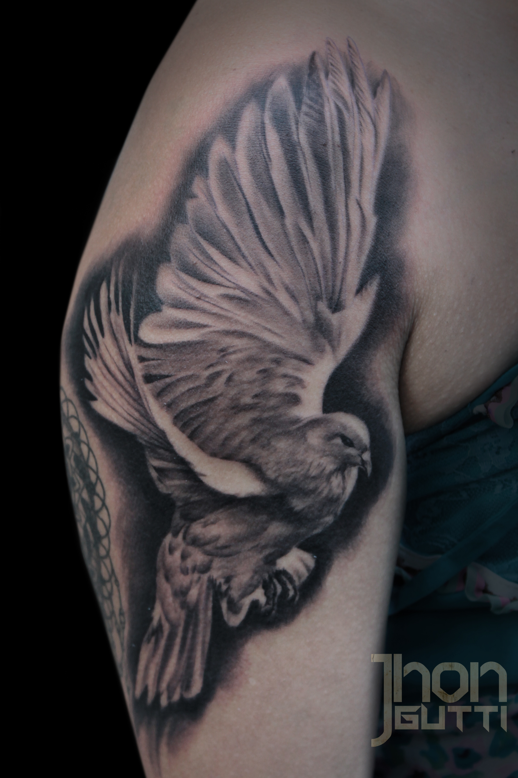 Dove Tattoo Shoulder
